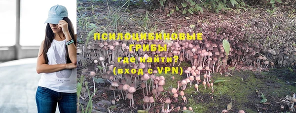 эйфоретик Богородицк