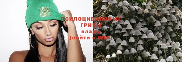 эйфоретик Богородицк