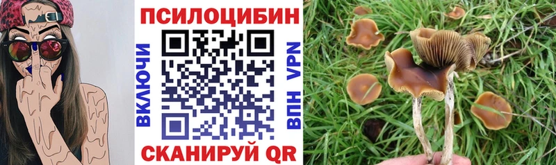 Псилоцибиновые грибы мицелий  мега ТОР  Афипский 